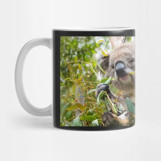 Koala eating gum leaves. Mug